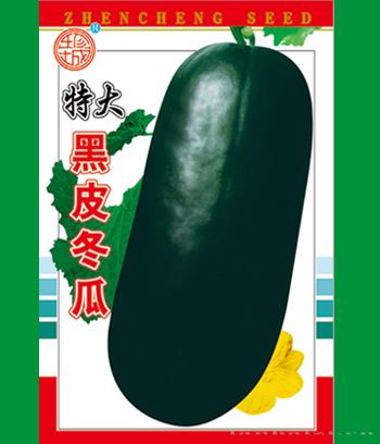 黑皮冬瓜　