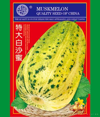 特大白沙蜜　
