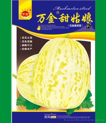 万金豹点香　