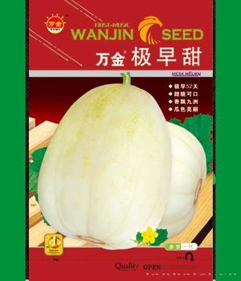 万金极早甜　