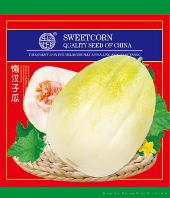 懒汉子瓜　