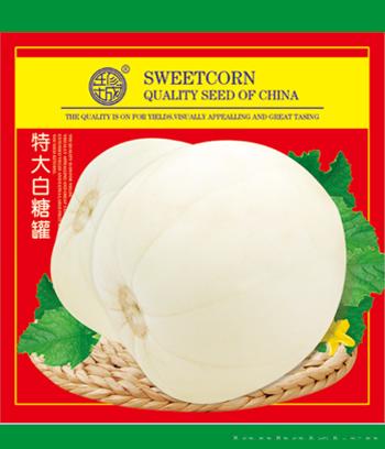 特大白糖罐　