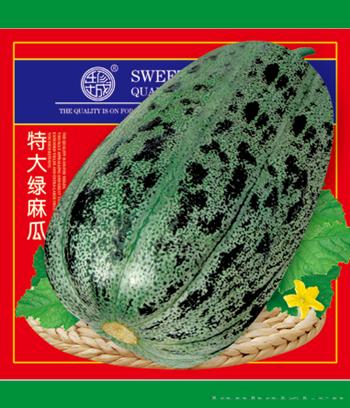 特大绿麻瓜