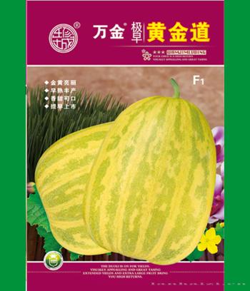 万金黄金道　