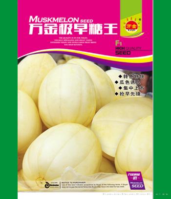 万金极早糖王　