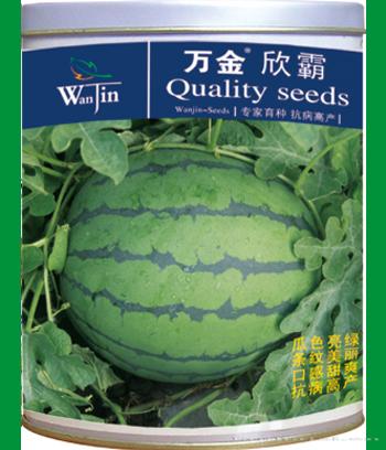 万金欣霸　
