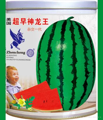 超早神龙王　