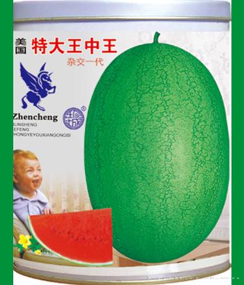 特大王中王　