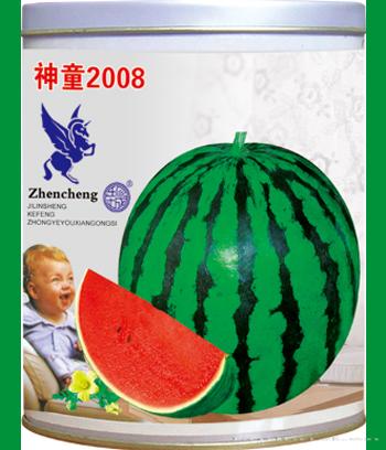 神童2008　