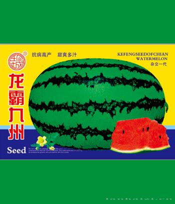 龙霸九州　