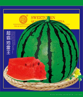 超霸地雷王　