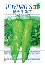 辣椒种子