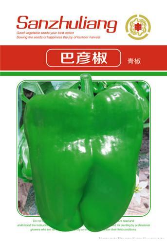 辣椒种子