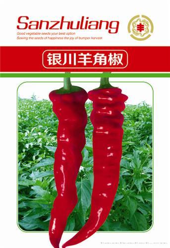 辣椒种子