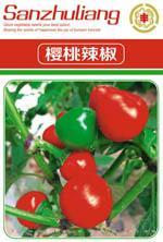 辣椒种子