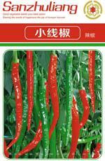 辣椒种子