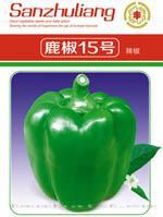 辣椒种子