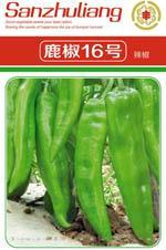 辣椒种子
