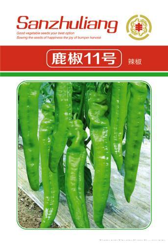 辣椒种子