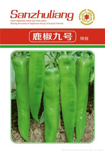辣椒种子