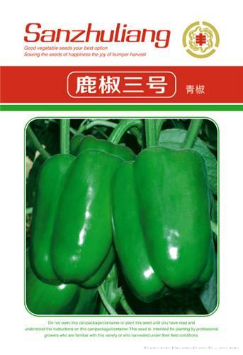辣椒种子