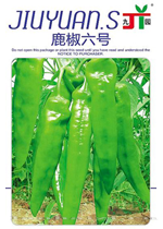 辣椒种子