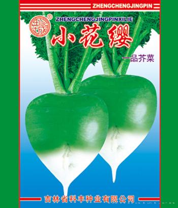 小花缨　