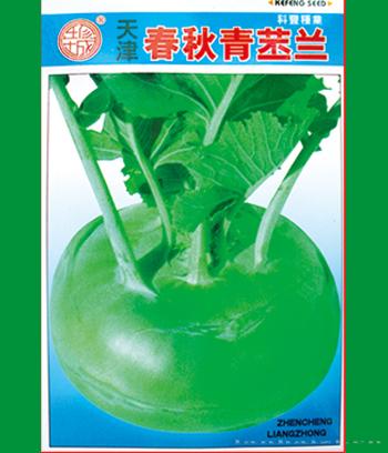 春秋青苤兰　