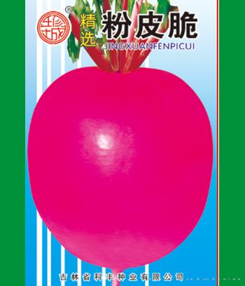 粉皮脆　