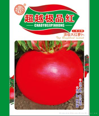超越极品红　