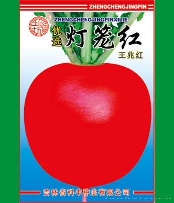 灯笼红　