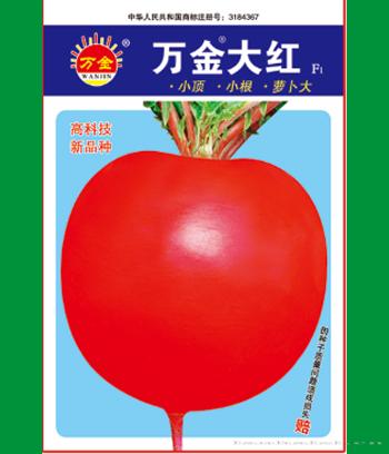万金大红　