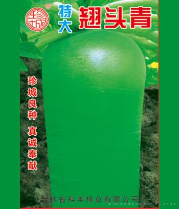 翘头青　