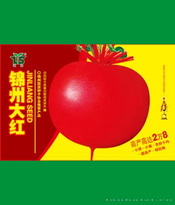 锦州大红　