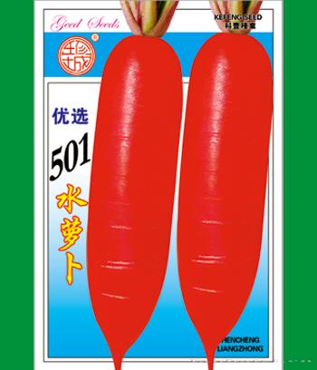 501水萝卜　