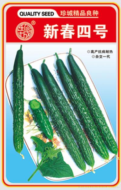 黄瓜