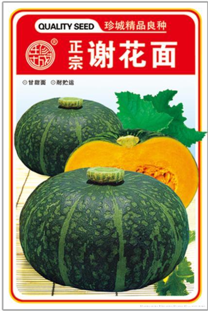 南瓜