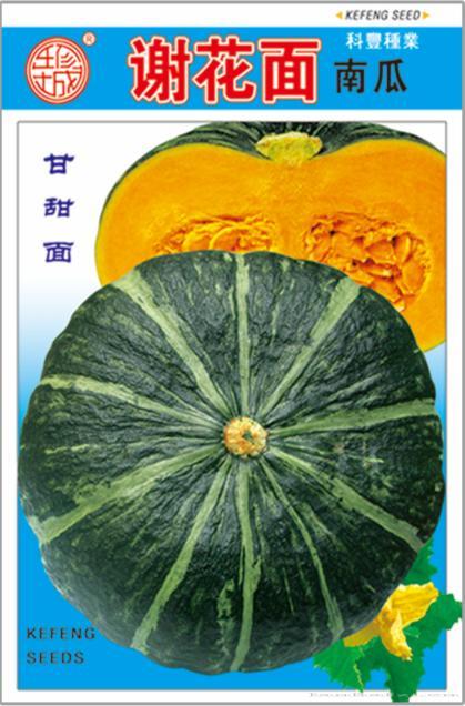 谢花面 南瓜