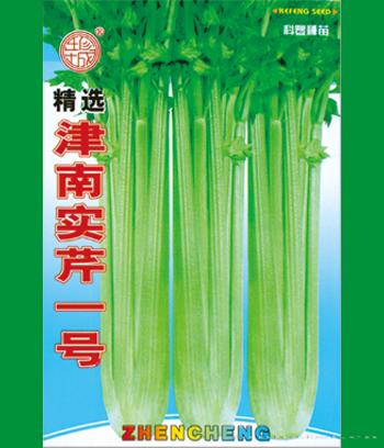 津南实芹一号　