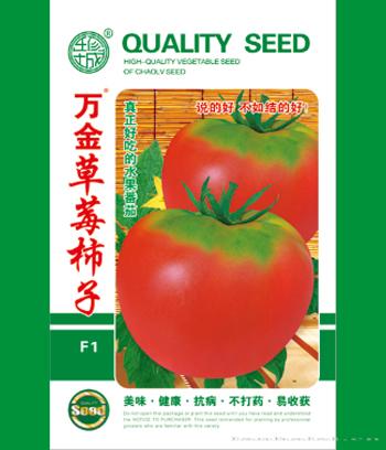 万金草莓柿子　