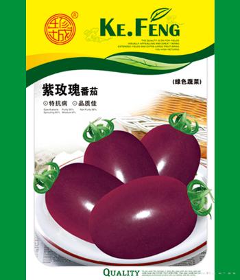 紫玫瑰　
