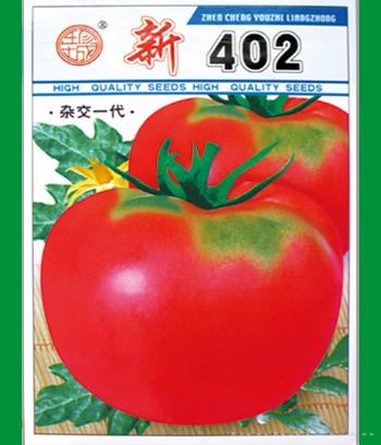 新402　