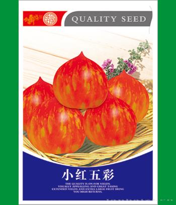 小红五彩