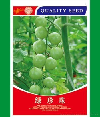 绿珍珠