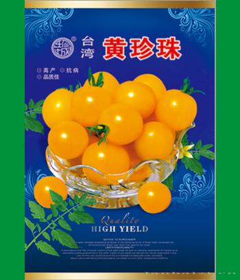 黄珍珠　