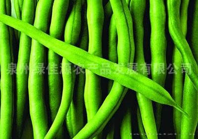 四季豆——豆荚类