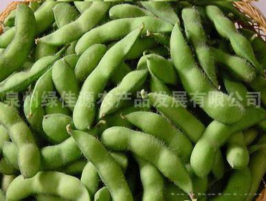 毛豆——豆荚类