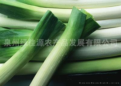 大葱——葱姜类