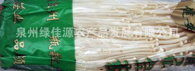 金针菇——食用菌类