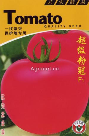 超级粉冠--番茄种子 